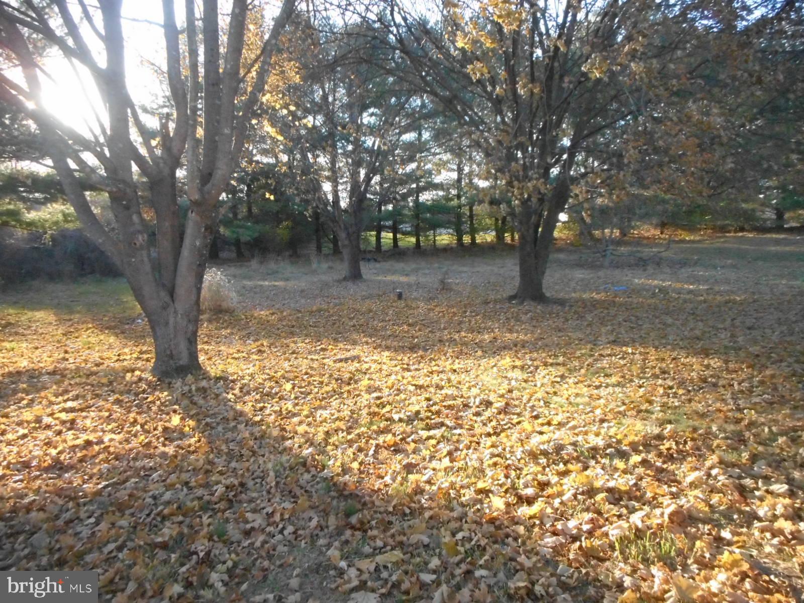 335 Ruebuck Road Clear Brook, VA 22624 - Photo 5 of 14 view of the back yard