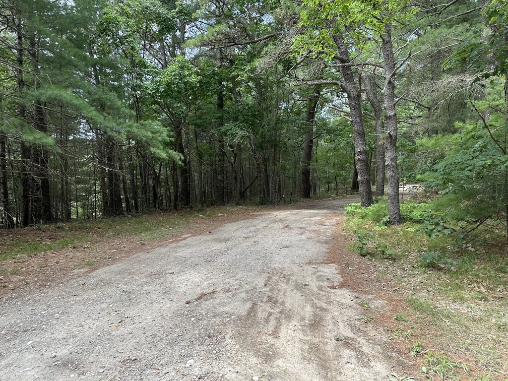 5 Fire Island Road Wareham, MA 02571 - Photo 4 of 7 a view of backyard with green space