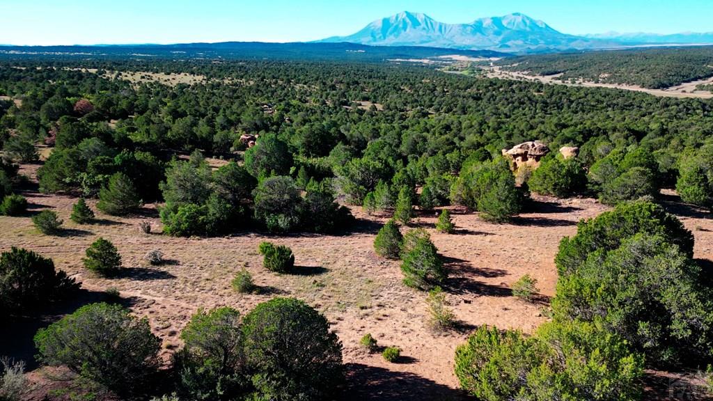 Tbd Bear Creek Road Walsenburg, CO 81089 - Photo 35 of 37