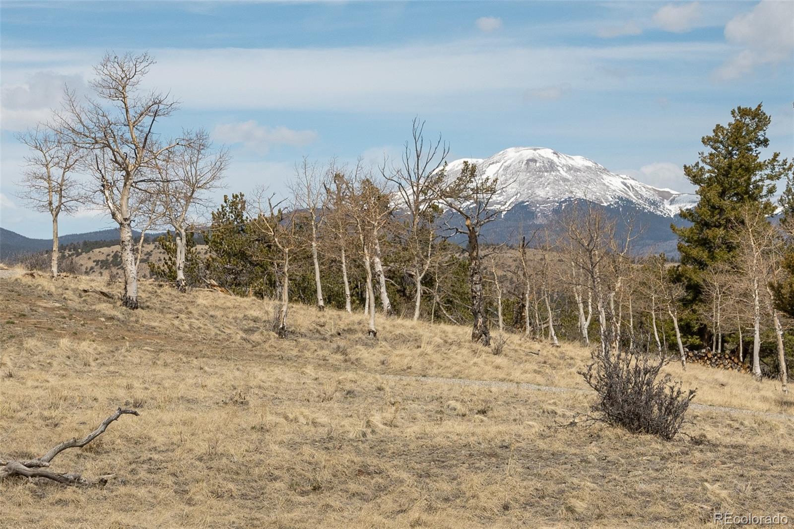 3750 Singletree Road Hartsel, CO 80449 - Photo 5 of 46 a view of a covered with snow in the background