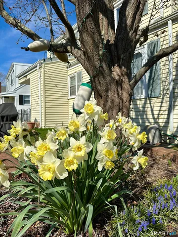 $2,300 | 40 Parkway South, New London, CT 06320