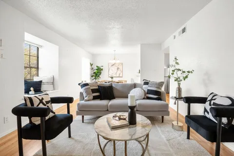 a living room with furniture and a potted plant