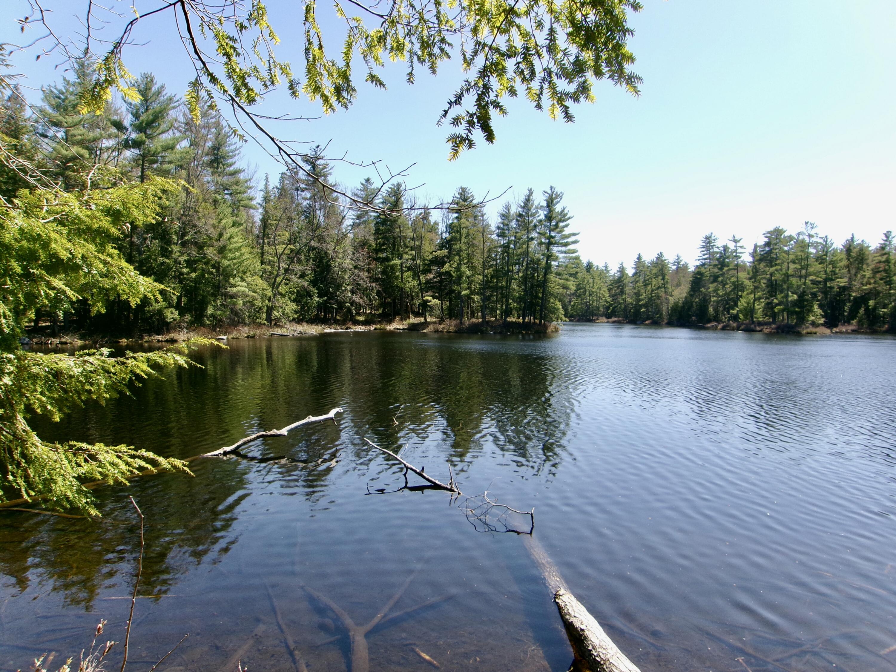 65-ac Town Farm Road West Baldwin, ME 04091 - Photo 4 of 16 1