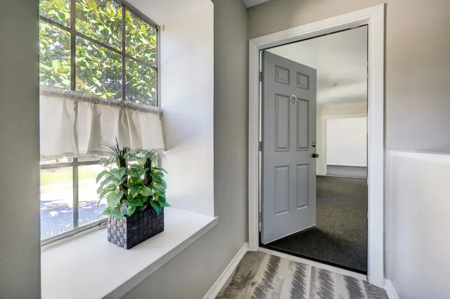 a plant room with a window