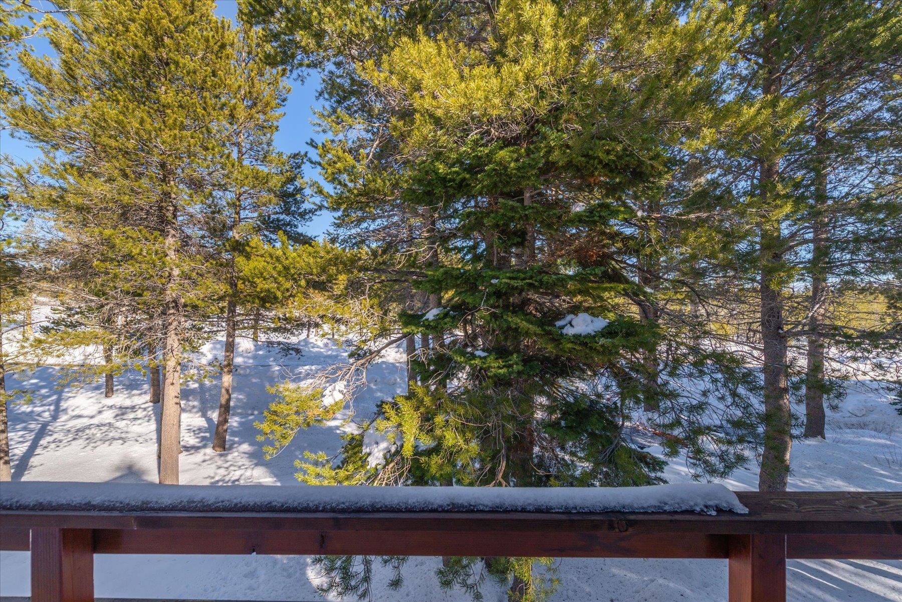 17080 Ski Slope Way Truckee, CA 96161 - Photo 21 of 22