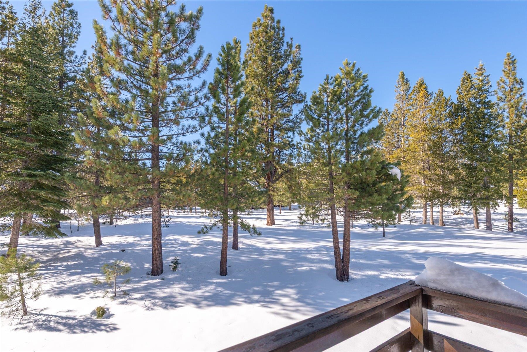 17080 Ski Slope Way Truckee, CA 96161 - Photo 22 of 22 a view of a park with tree s
