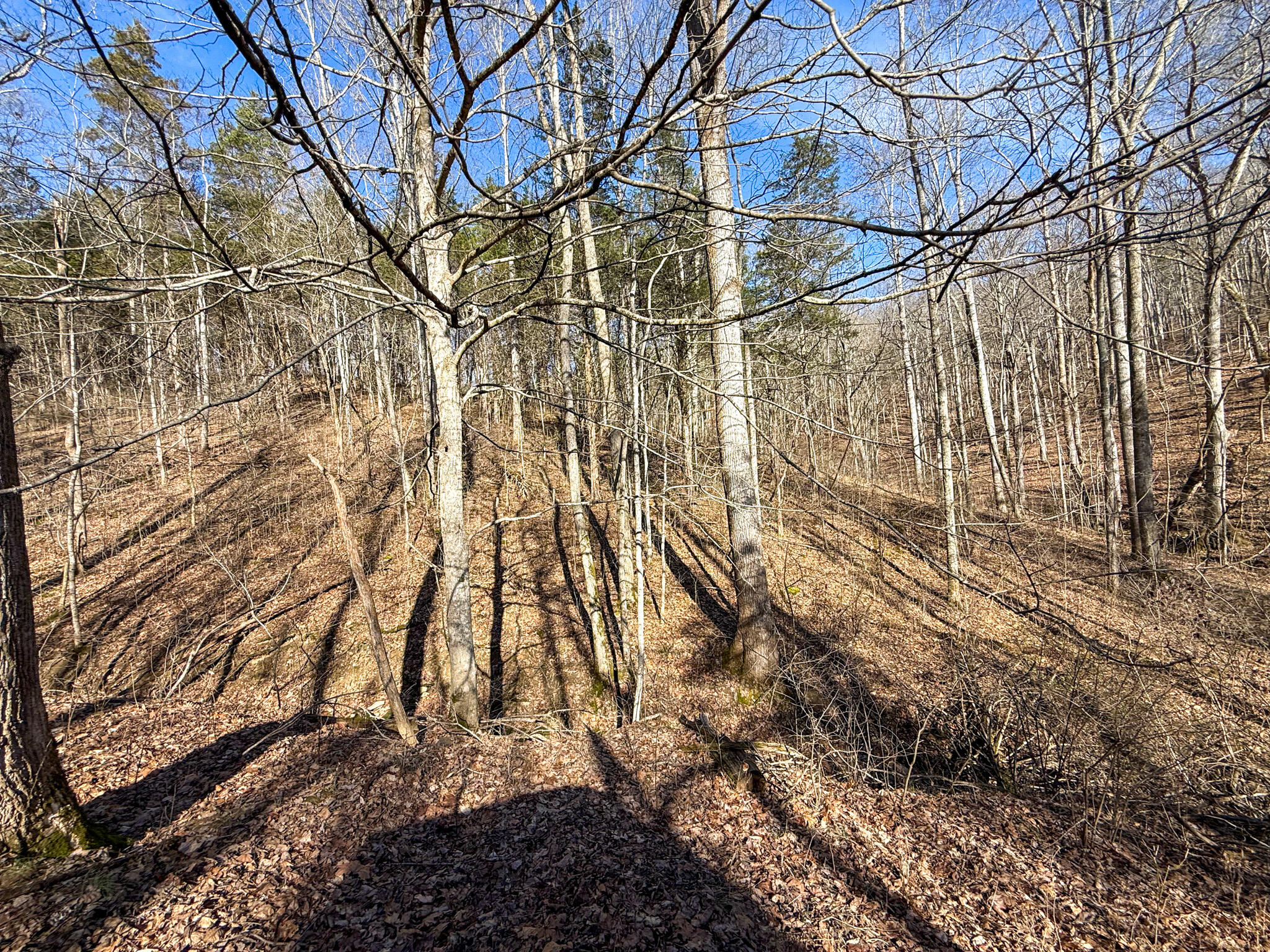 248 Sulphur Lick Road Frankfort, KY 40601 - Photo 3 of 50