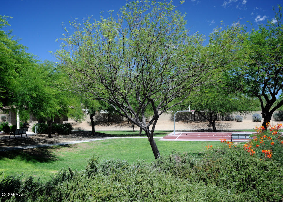 14313 West Almeria Road Goodyear, AZ 85395 - Photo 34 of 38 Park 2