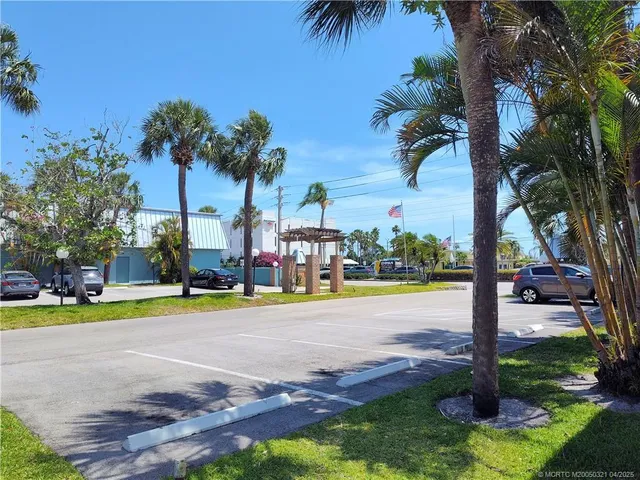 a view of a park with palm trees