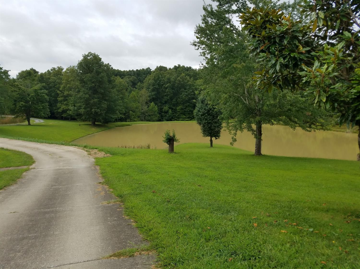 2369 Mitchellsburg Knob Road Parksville, KY 40464 - Photo 29 of 88 Photo 29