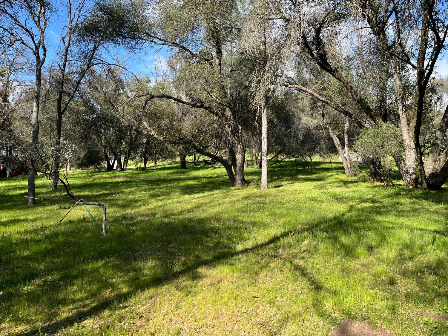 120 Sioux Road Coarsegold, CA 93614 - Photo 15 of 19 Gallery Image 15