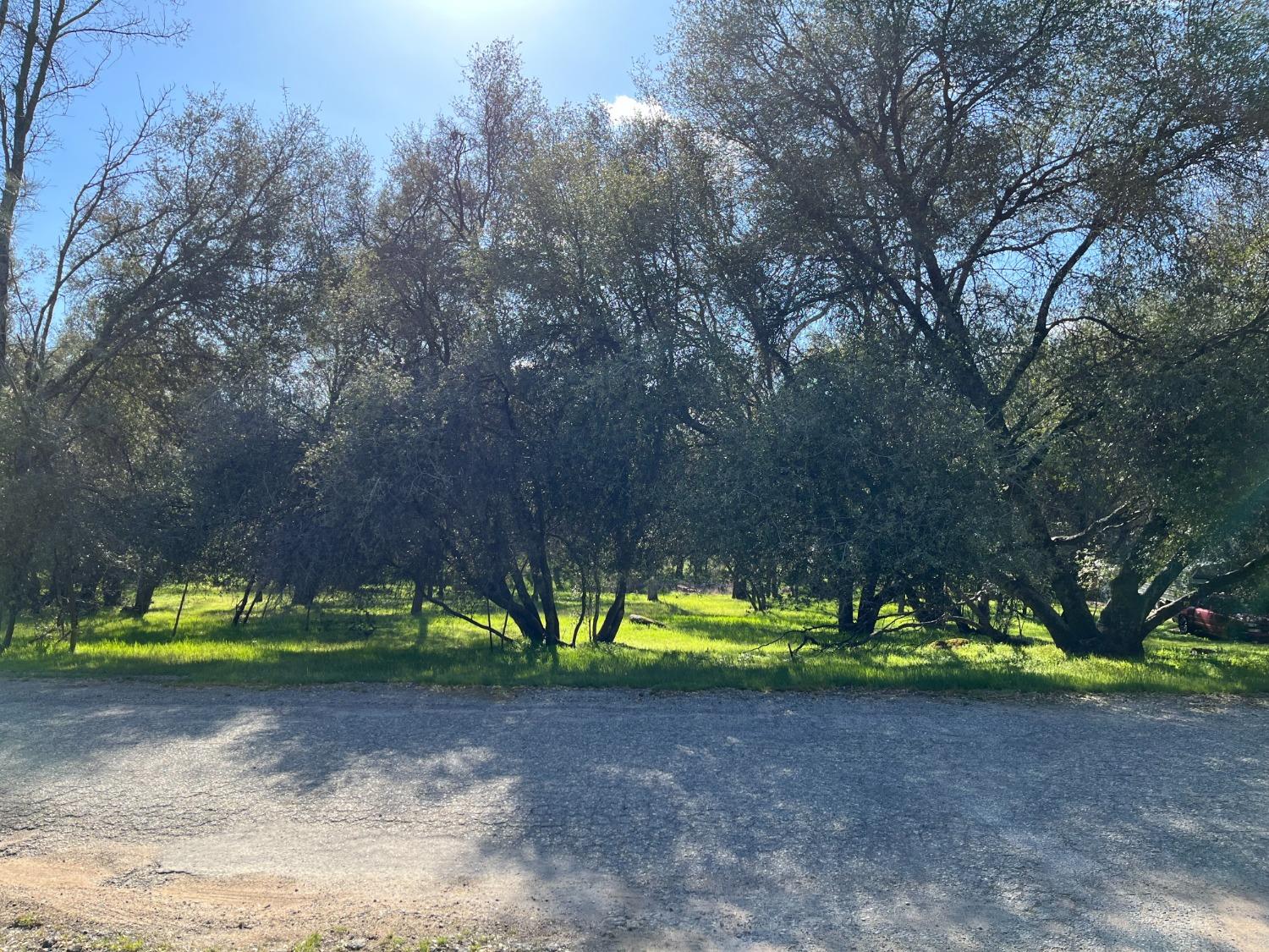 120 Sioux Road Coarsegold, CA 93614 - Photo 19 of 19 Gallery Image 19