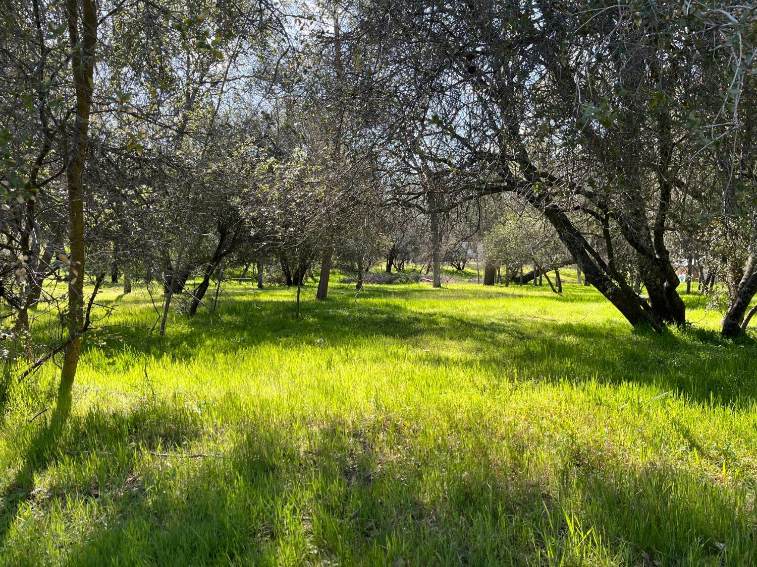 120 Sioux Road Coarsegold, CA 93614 - Photo 5 of 19 Gallery Image 5