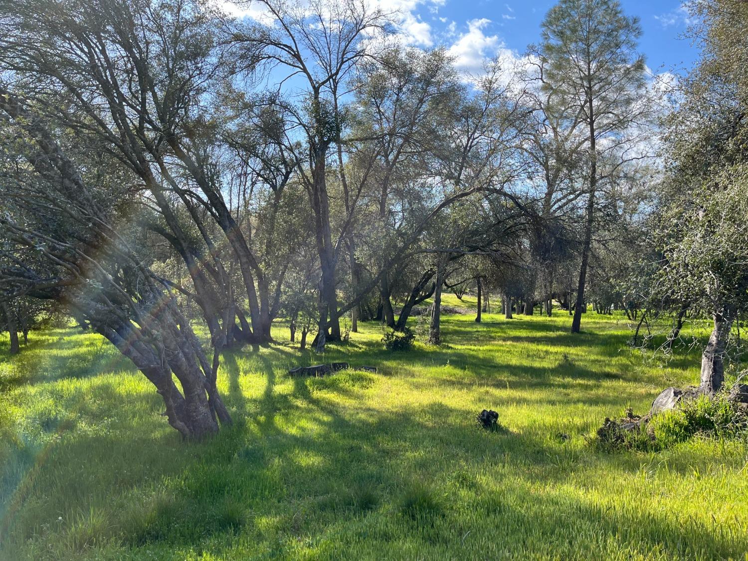 120 Sioux Road Coarsegold, CA 93614 - Photo 10 of 19 Gallery Image 10
