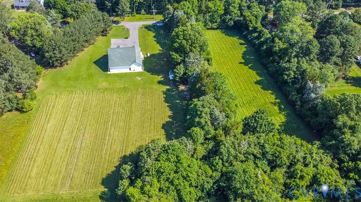 1037 Berryhill Road Henrico, VA 23231 - Photo 43 of 49 From South Side 5 Acres showing back of Building
