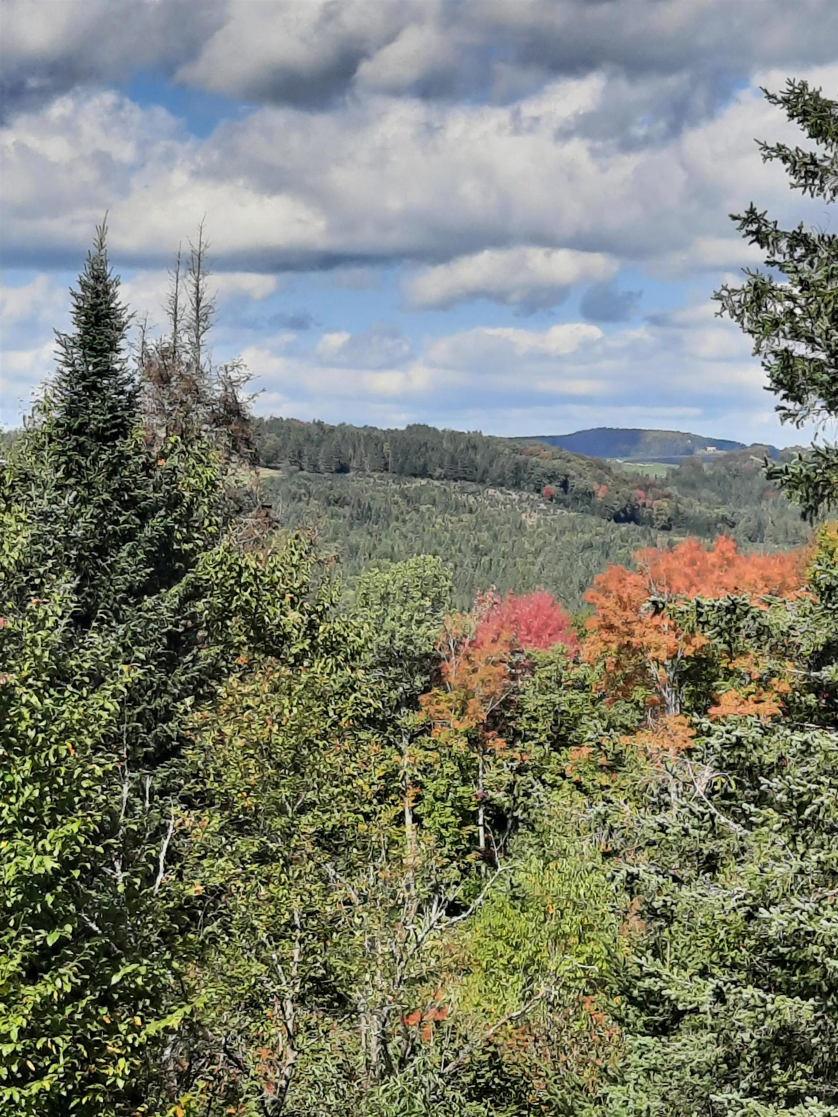 117 Daniel Beard Road Pittsburg, NH 03592 - Photo 9 of 60 Gallery Image 9