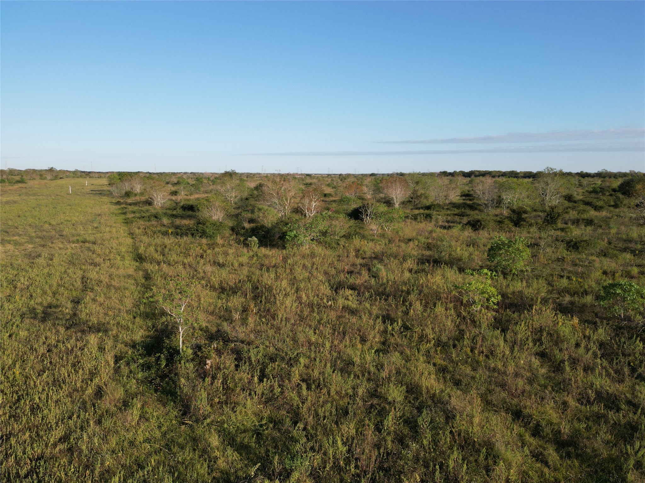 0 County Road 220 Angleton, TX 77515 - Photo 15 of 22