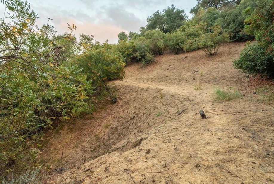 3544 Multiview Drive Los Angeles, CA 90068 - Photo 5 of 13