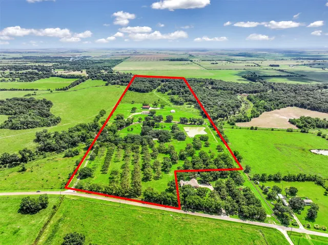 a view of a big yard with furniture and a garden