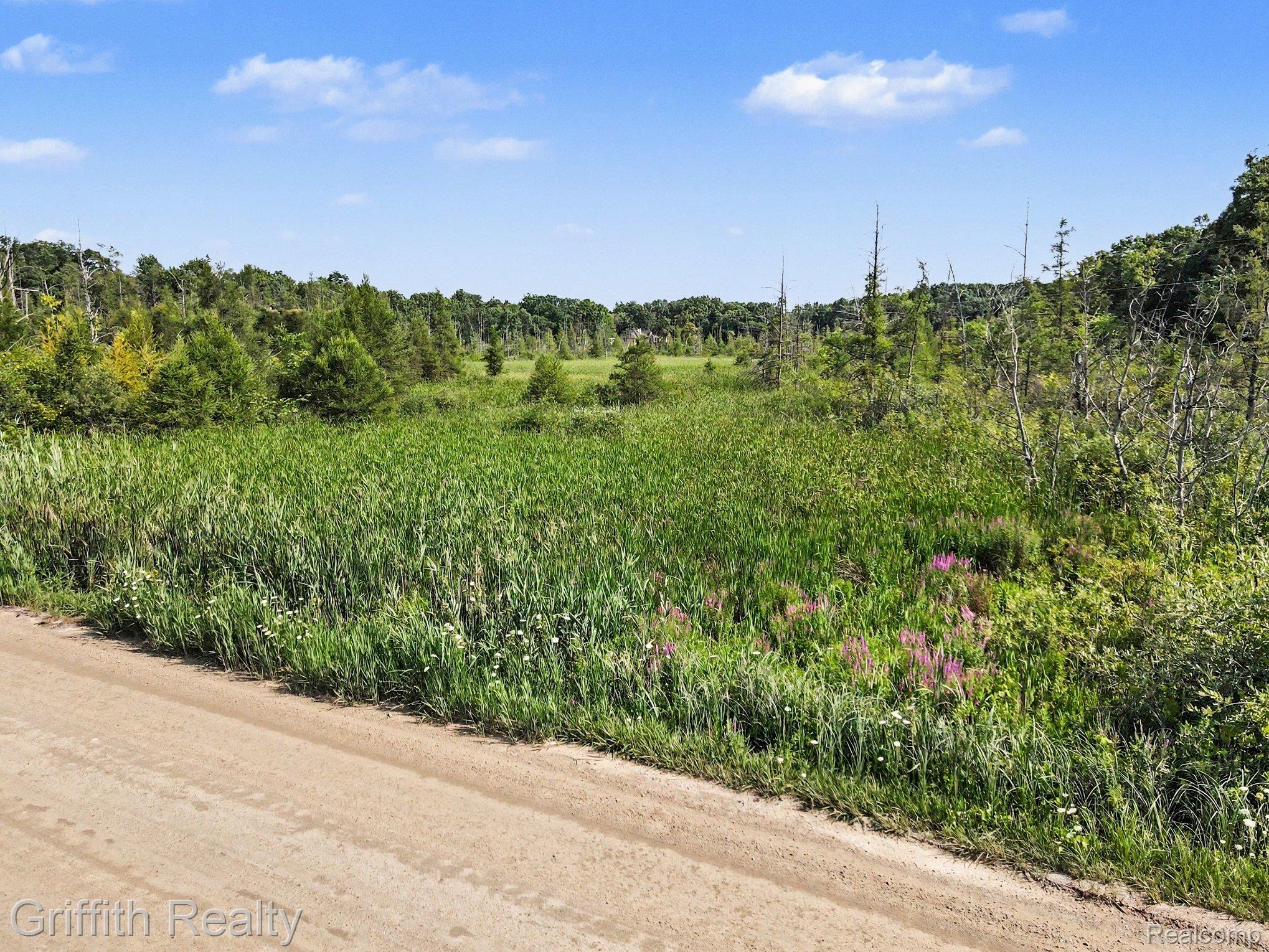 Parcel C Bauer Road Brighton, MI 48116 - Photo 11 of 16 011_file_1670.jpg