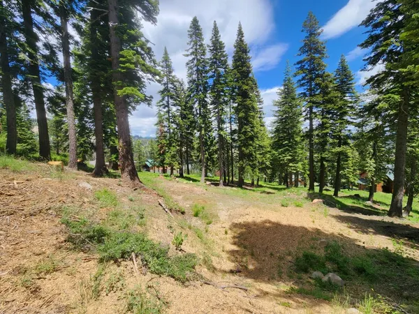 $150,000 | 332 Snowshoe Road, Bear Valley, CA 95223