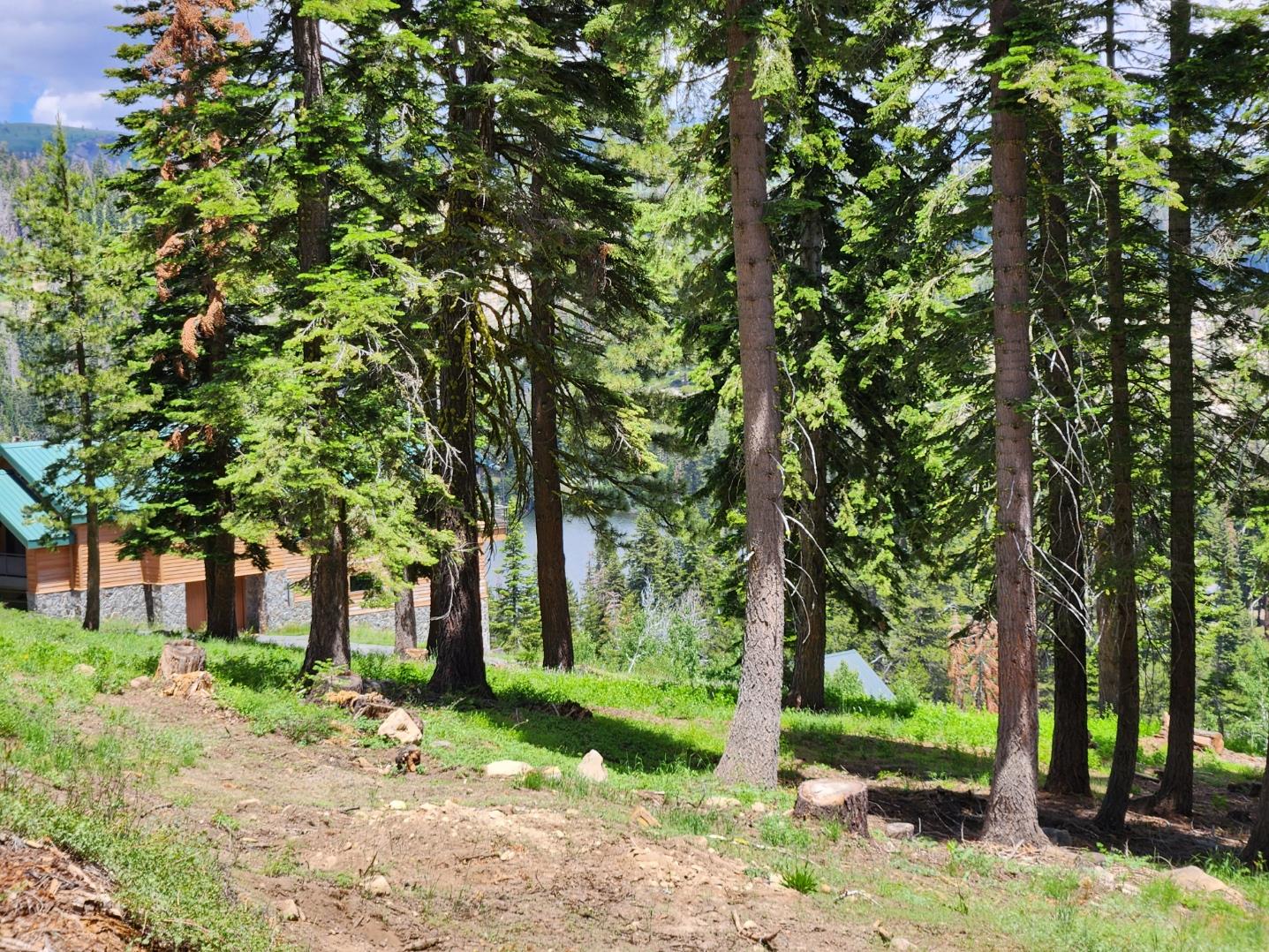 332 Snowshoe Road Bear Valley, CA 95223 - Photo 2 of 4