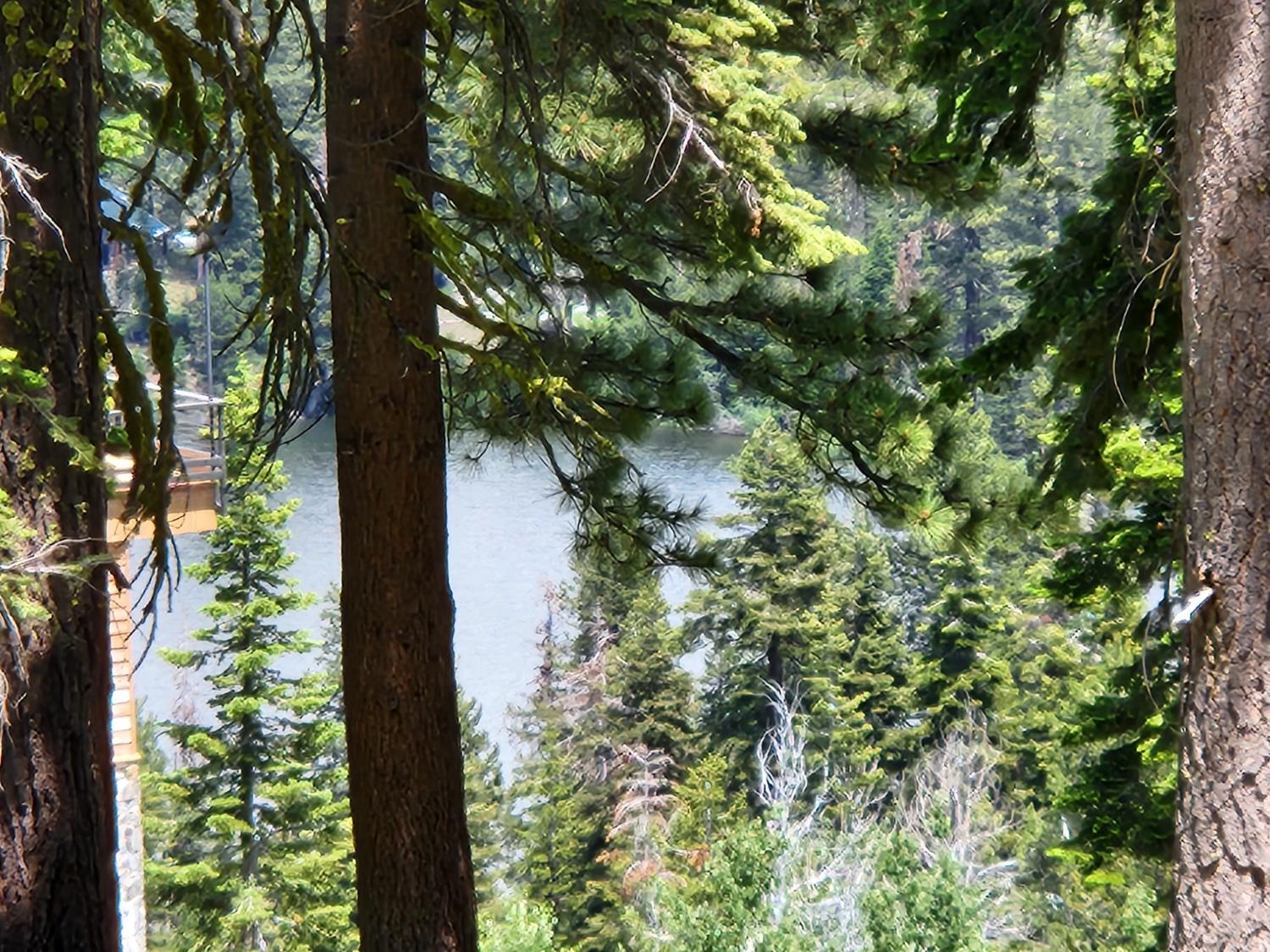 332 Snowshoe Road Bear Valley, CA 95223 - Photo 3 of 4