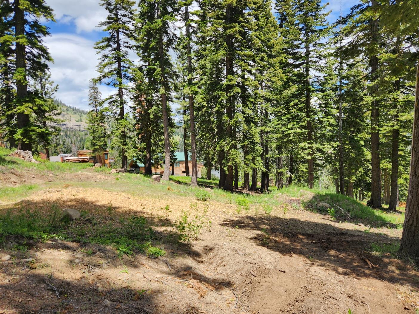 332 Snowshoe Road Bear Valley, CA 95223 - Photo 4 of 4