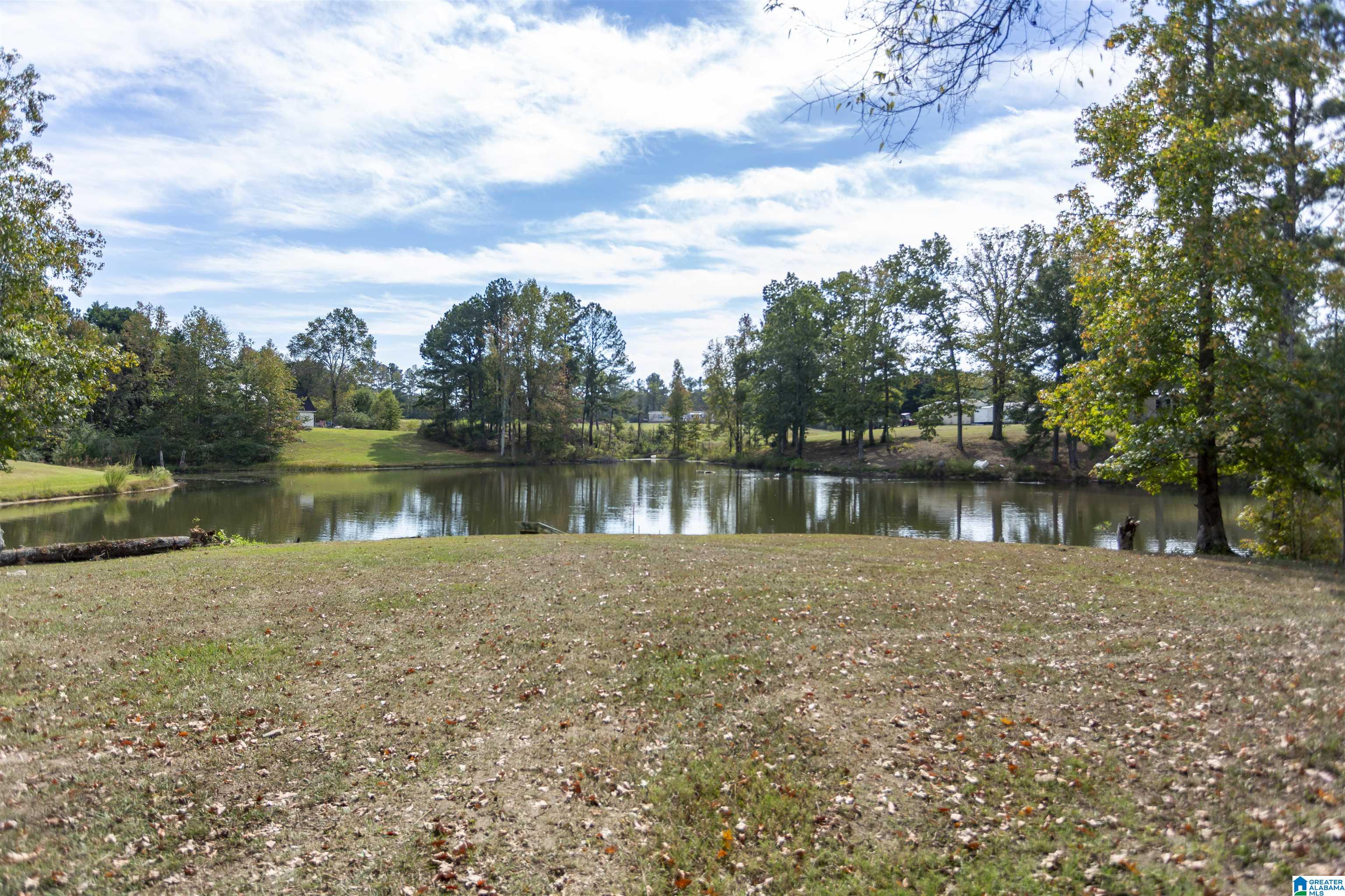 9930 Shipptown Road Empire, AL 35063 - Photo 41 of 43