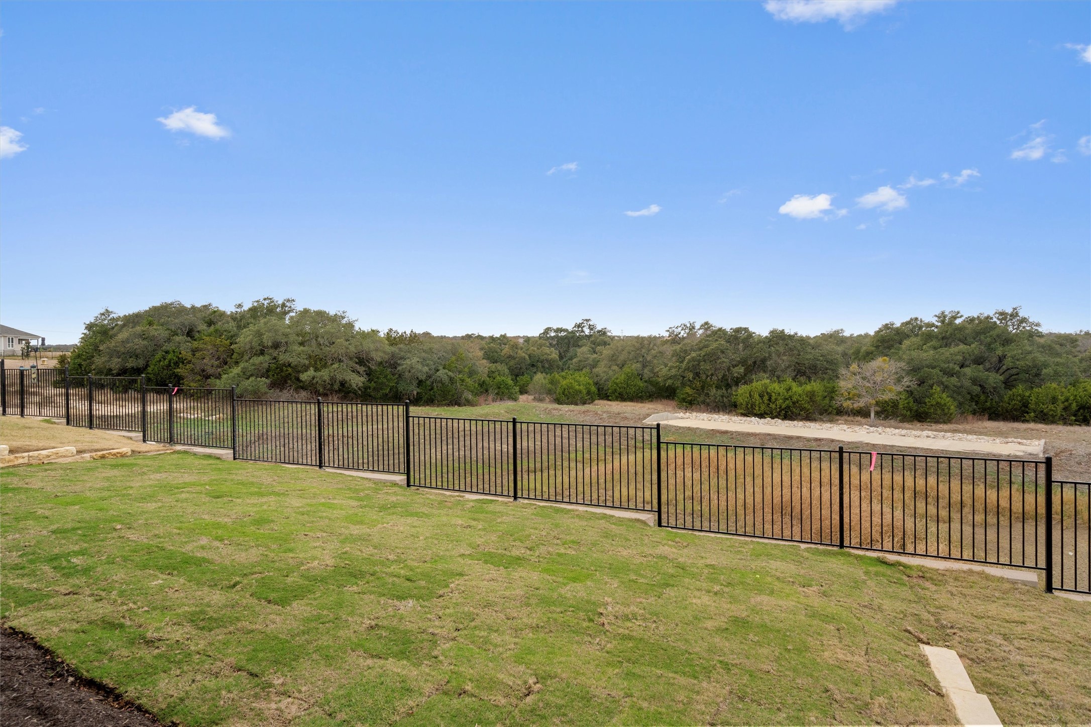 310 Livewater Lane Georgetown, TX 78633 - Photo 32 of 33 a view of a backyard with grass and palm tree