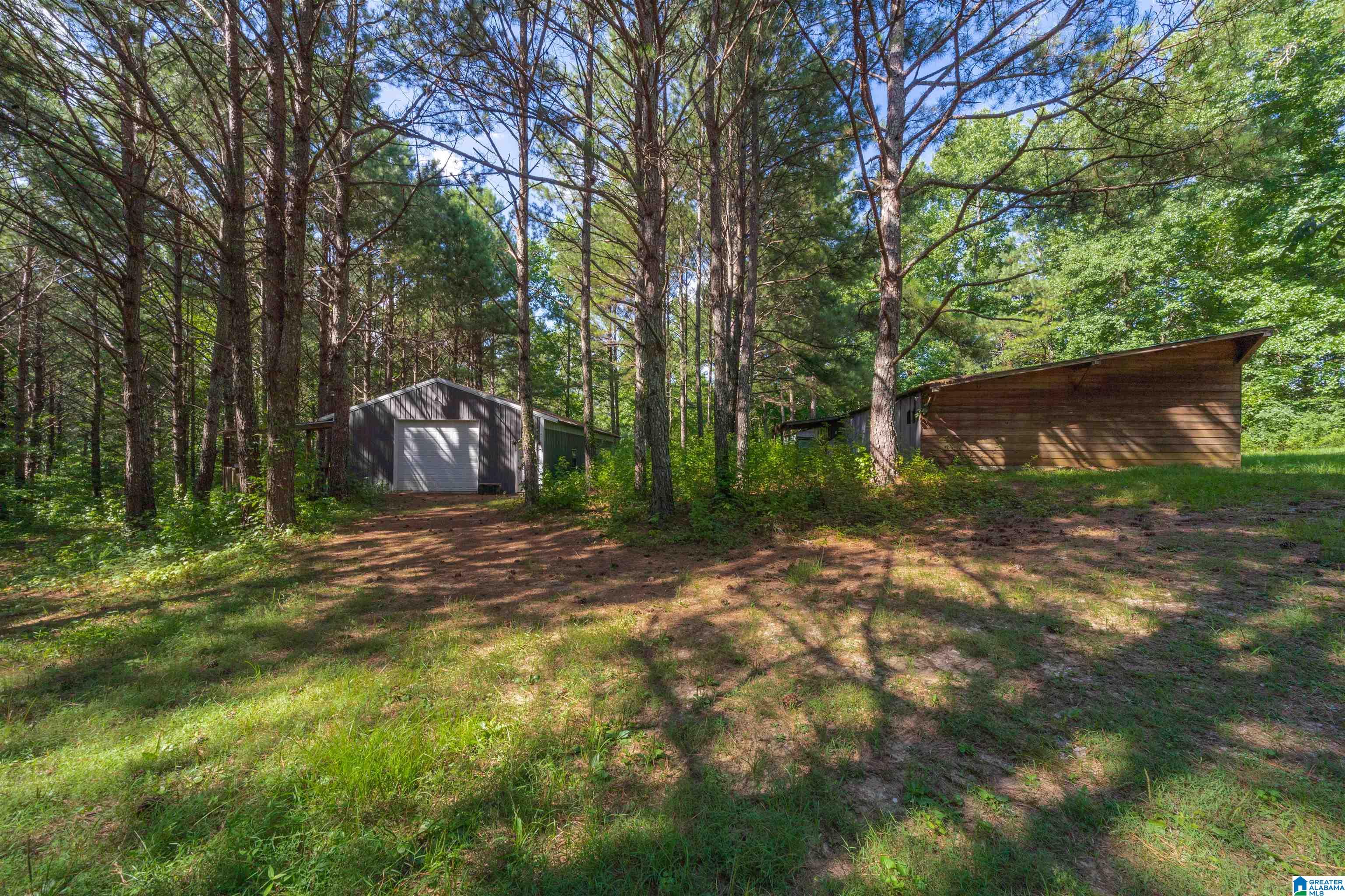1031 Reneau Road Oneonta, AL 35121 - Photo 35 of 50