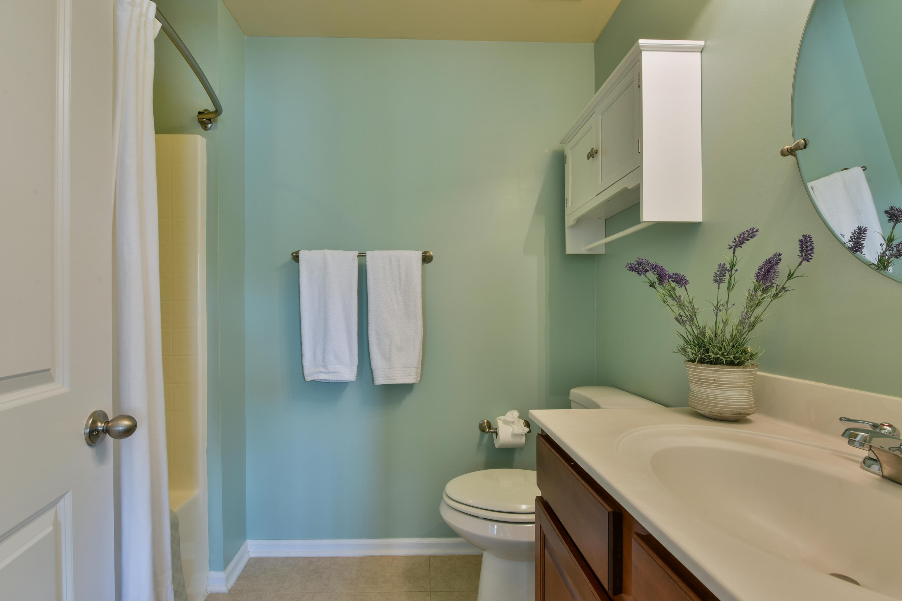 1446 Roustabout Way Charleston, SC 29414 - Photo 22 of 25 guest bathroom