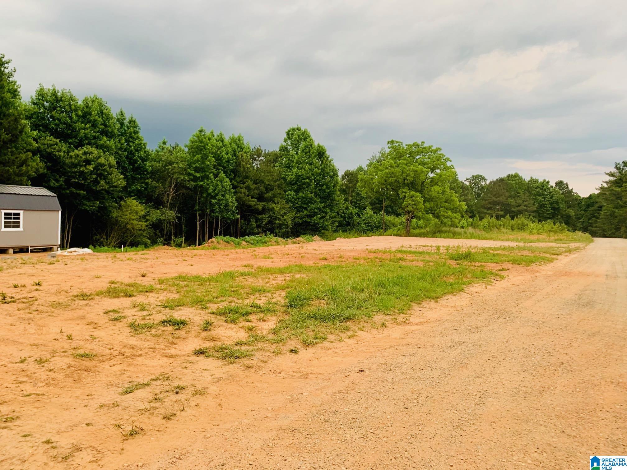 434 County Road 852, Unit 1 Ranburne, AL 36273 - Photo 7 of 14
