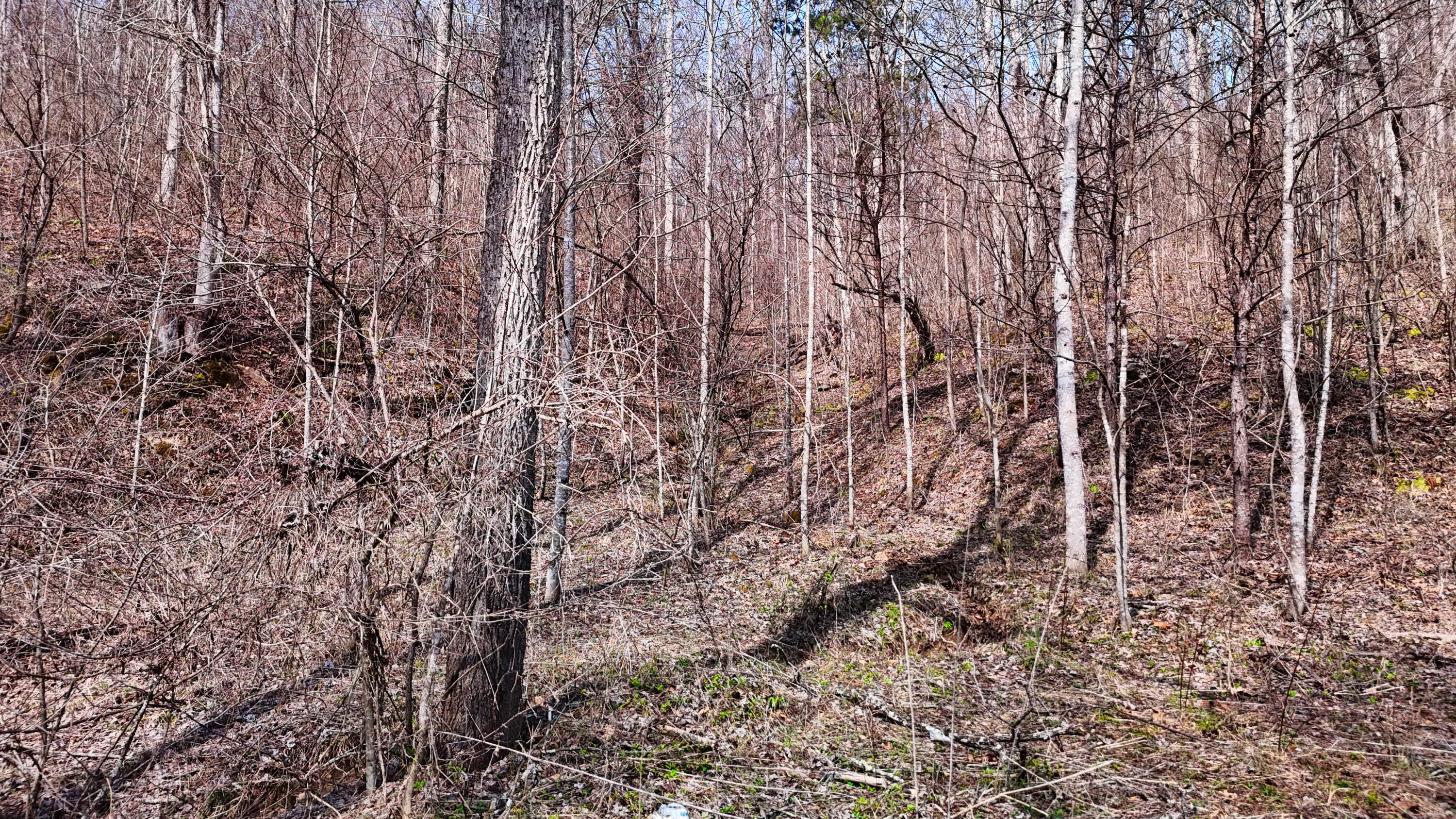 0 Sand Springs Road McKee, KY 40447 - Photo 53 of 58 DJI_20250318131728_0089_D