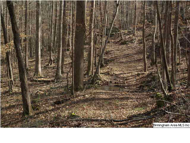 3 Horton Mill Road, Unit 1 Cleveland, AL 35049 - Photo 8 of 28 Gallery Image 8