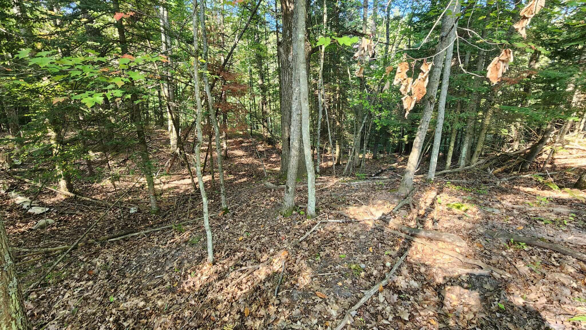 1375 Sanborn Road Spruce, MI 48762 - Photo 26 of 29 flo3