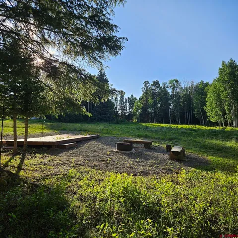 a view of a park with large trees