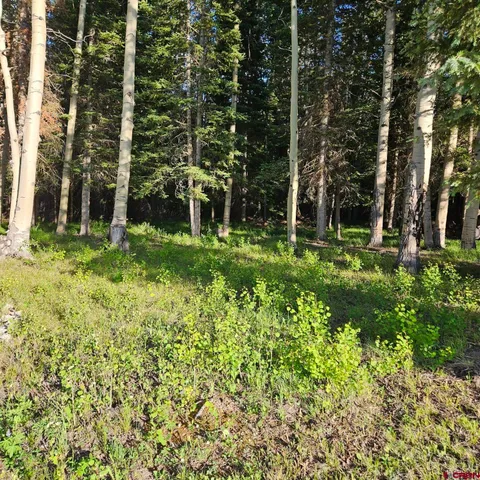 a view of a garden with plants