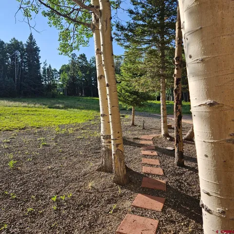a backyard of a house with lots of green space