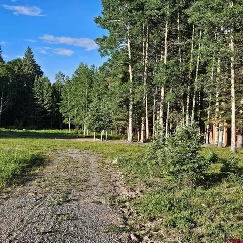 a view of a park with large trees