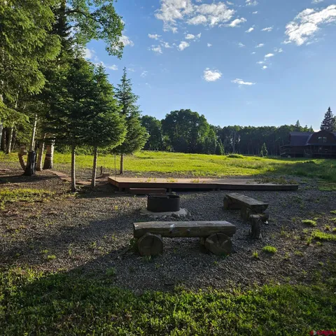 a view of a park with large trees