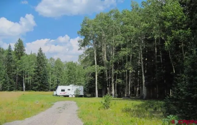 a view of a park with large trees