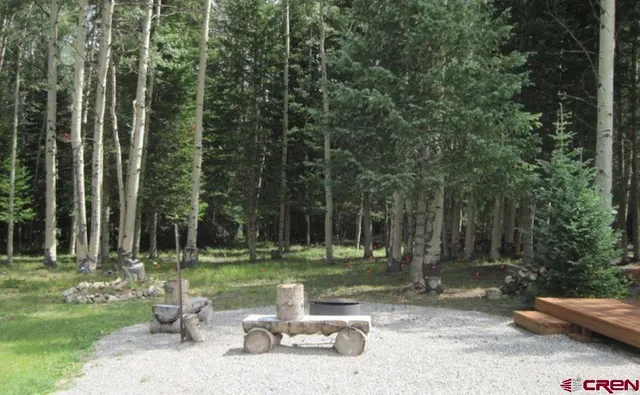 a view of a park with large trees
