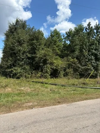 a view of a field with an trees