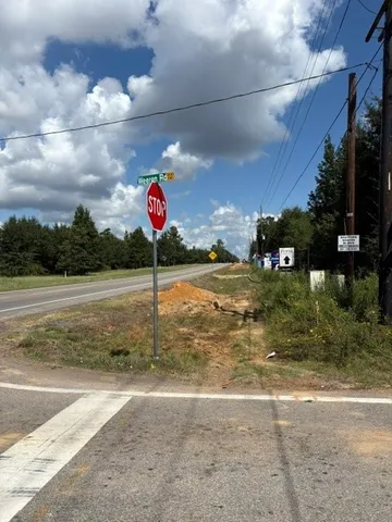 a black and white photo of a tree