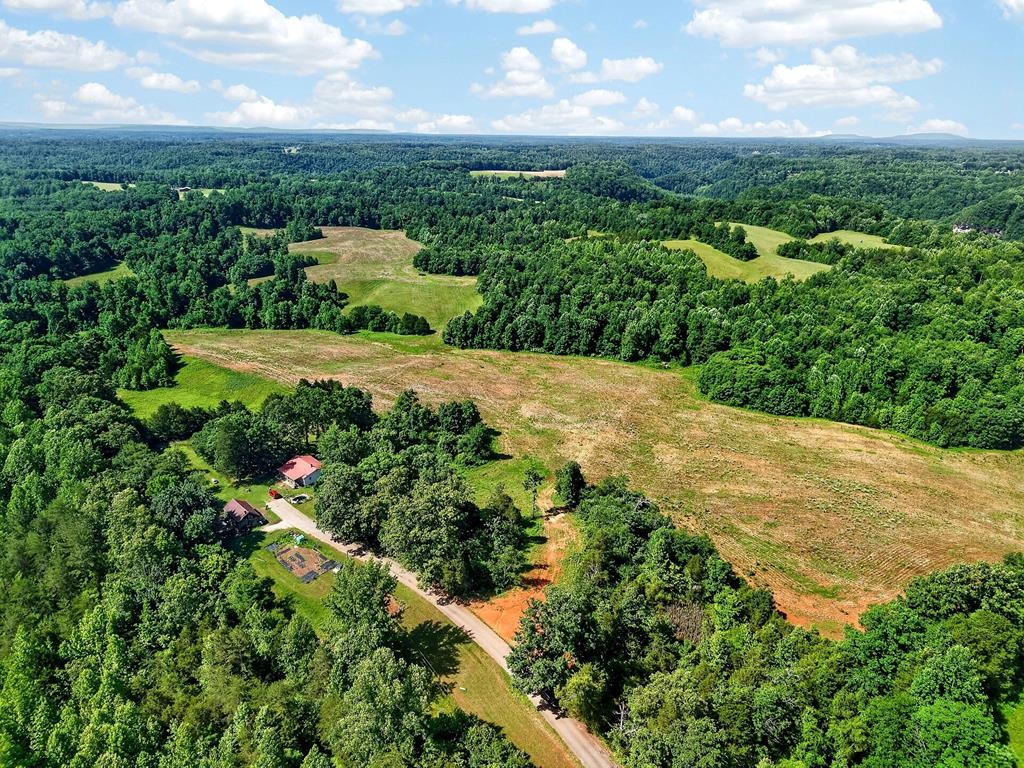 0 Massa Road Baxter, TN 38544 - Photo 11 of 22