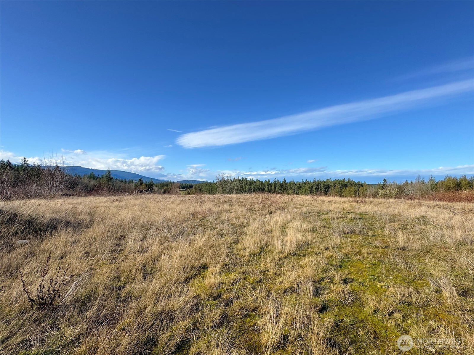 2495 Chicken Coop Road Sequim, WA 98382 - Photo 20 of 40