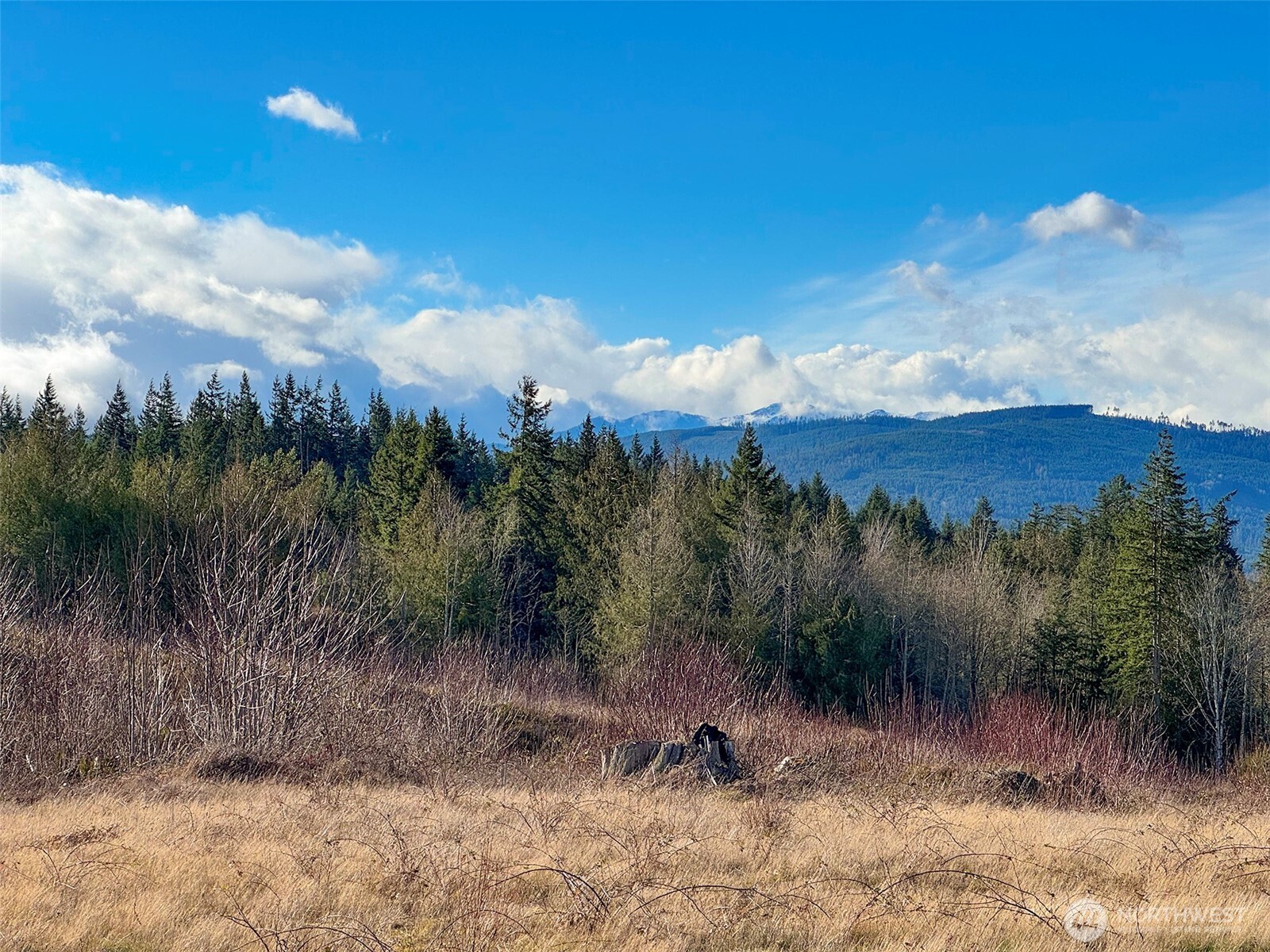 2495 Chicken Coop Road Sequim, WA 98382 - Photo 23 of 40