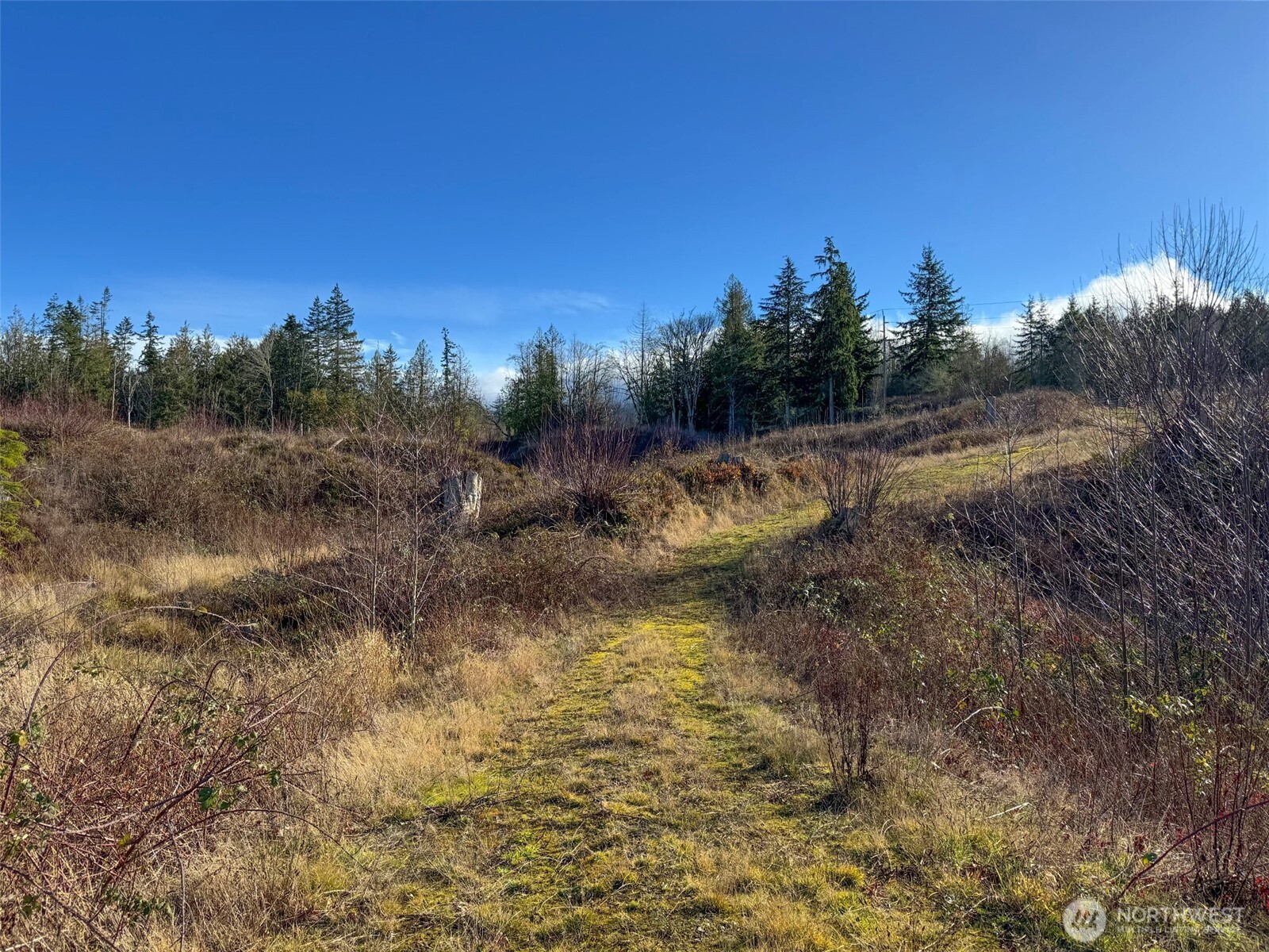 2495 Chicken Coop Road Sequim, WA 98382 - Photo 28 of 40