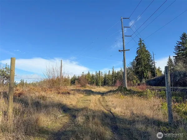 a view of a yard with trees